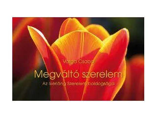 VARGA CSABA: MEGVÁLTÓ SZERELEM