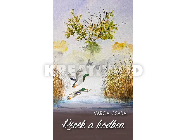 VARGA CSABA: RÉCÉK A KÖDBEN