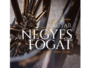 VIDA JÓZSEF: A MAGYAR NÉGYES FOGAT
