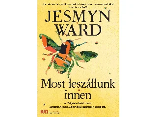 WARD, JESMYN: MOST LESZÁLLUNK INNEN