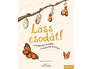 WILLIAMS, RACHEL: LÁSS CSODÁT! - 50 TERMÉSZETI JELENSÉG-50 LENYŰGÖZŐ TÖRTÉNET