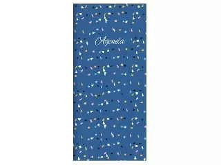 Zsebnaptár, fekvő elrendezésű, DAYLINER,